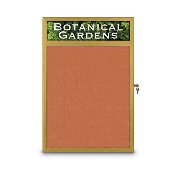 Open Faced Traditional Rounded Corkboard